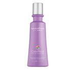 COLORPROOF SIGNATURE BLONDE    VIOLET SHAMPOO 2OZ Default Title